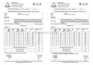 Campione = 3 (Honeycomb Fabycomb® 3mm + Granito 4mm) resistenza a flessione sotto carico concentrato - UNI EN 12372